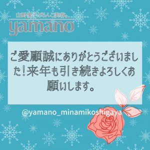 山野愛子どろんこ美容南越谷