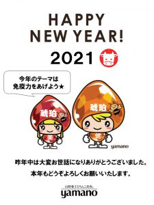 山野愛子どろんこ美容南越谷